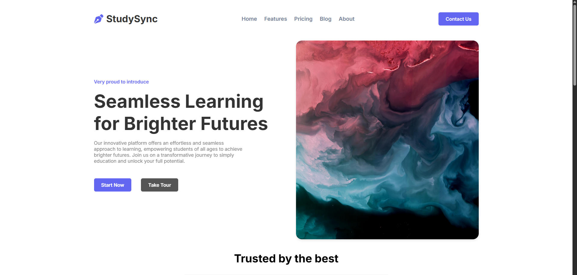 Website template project preview